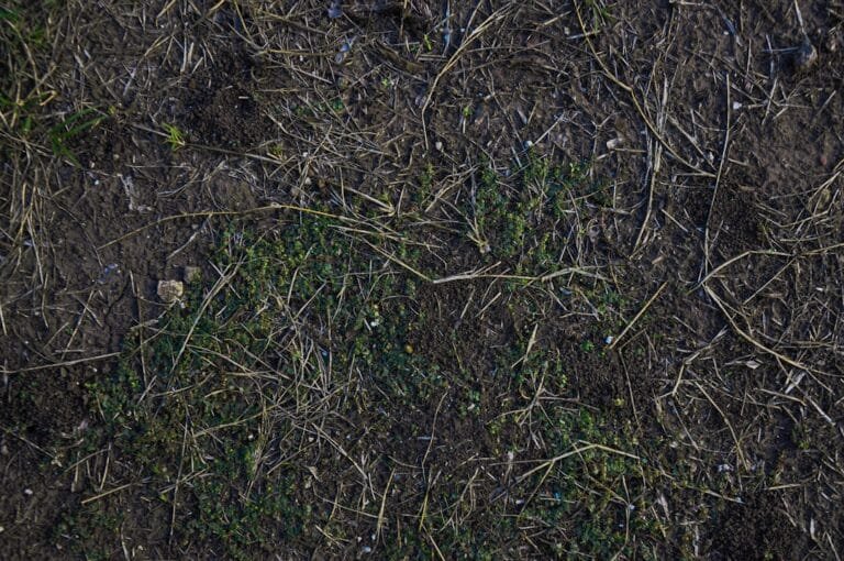 combien gagner le vainqueur du globe de cristal