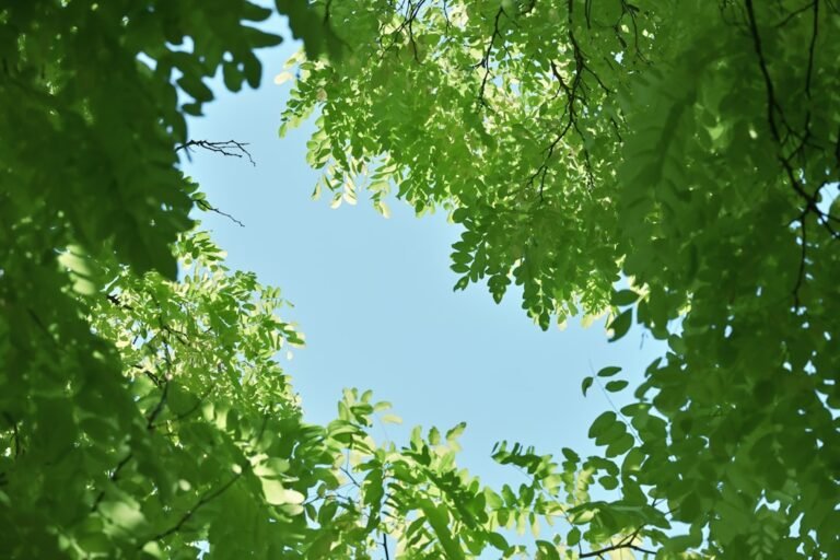 qui a construit le globe theatre