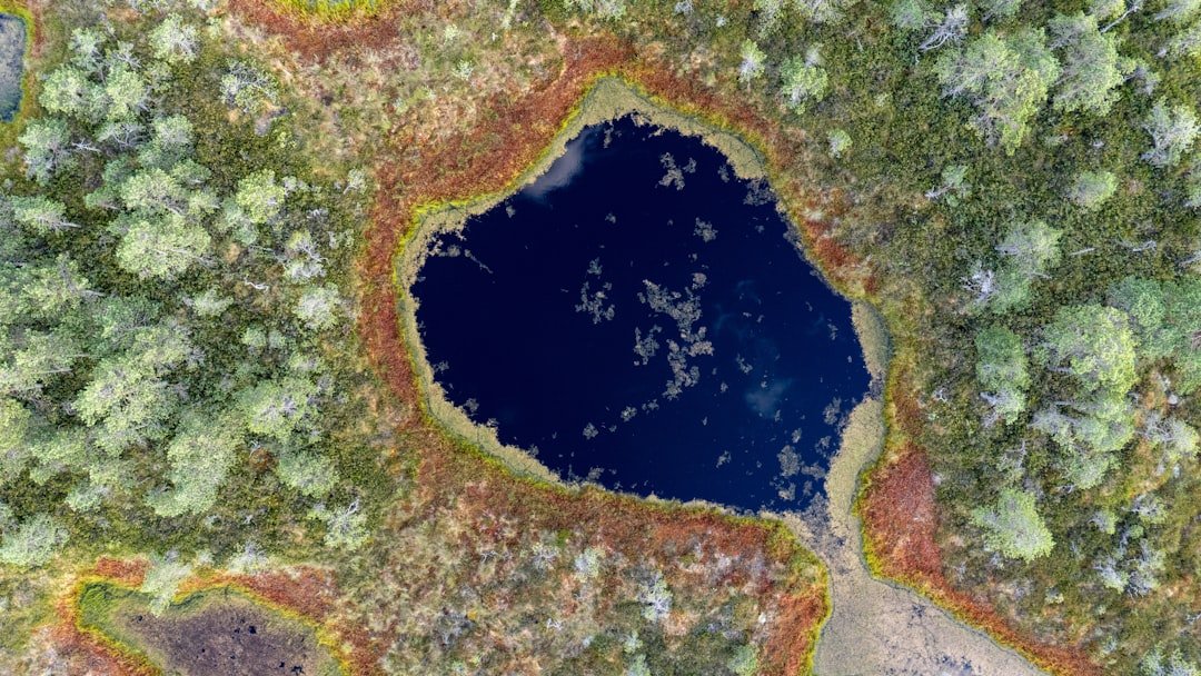 qui a gagné le vent des globes