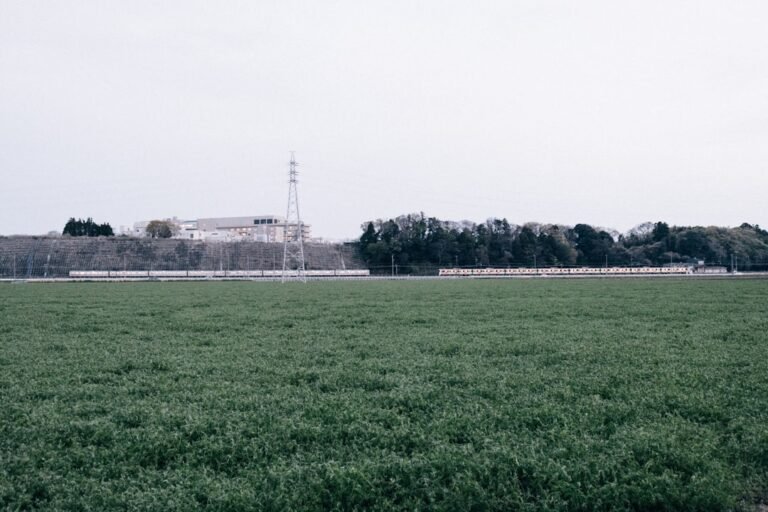 as quoi sert poison globe minecraft