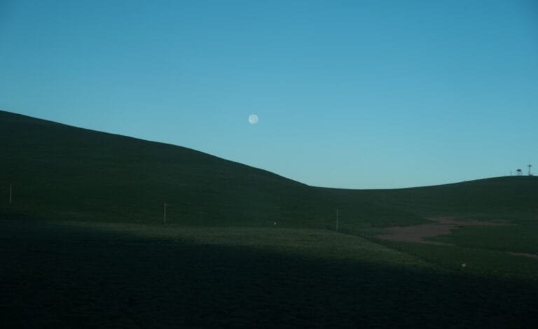 avec quoi mettre des globes