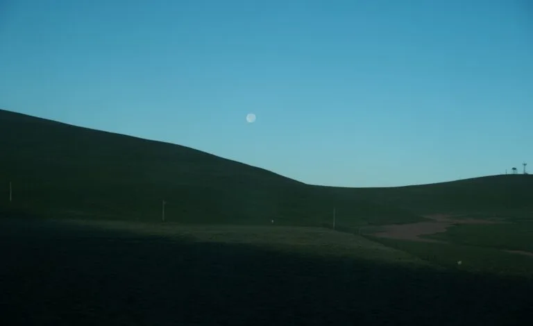 avec quoi mettre des globes